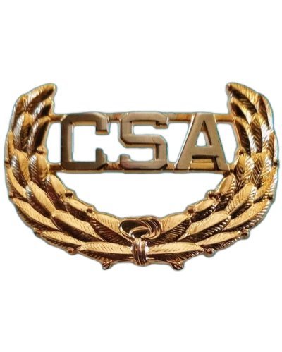 CSA insignia wreath hat or lapel pin